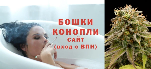 индика Красноперекопск