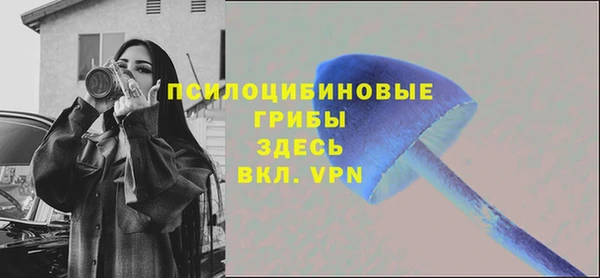 2c-b Краснотурьинск