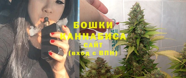 индика Красноперекопск