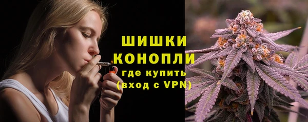 индика Красноперекопск