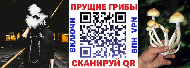 Псилоцибиновые грибы Magic Shrooms  Купить где  Воскресенск 